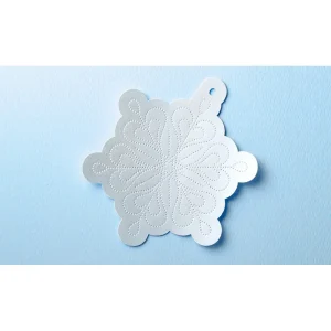 Bộ phụ kiện làm tạo hoa văn đục lỗ Brother (2)