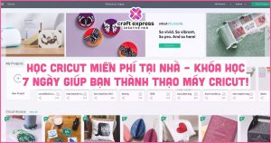 Thumbnail bài viết SEO (3)